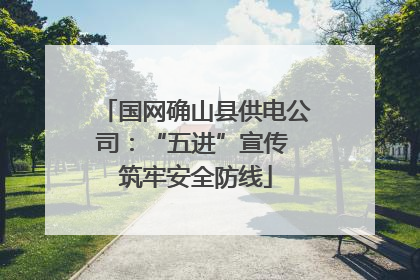 国网确山县供电公司：“五进”宣传 筑牢安全防线